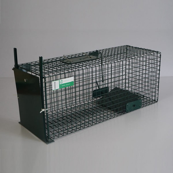 Animal Traps