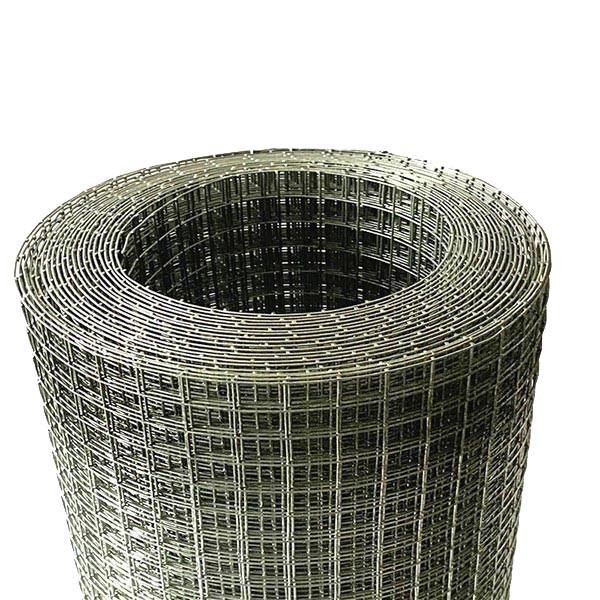 Galvanized Welded Wire Mesh